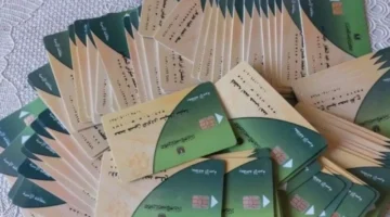 متى تضيف أولادك على بطاقات التموين في 2026 وشروط الإضافة